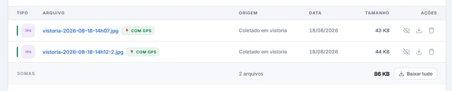 Lista de anexos do processo com duas fotos de vistoria nomeadas pela hora da captura, cada uma com a etiqueta "com GPS" que abre o mapa, a origem "Coletado em vistoria", a data e o tamanho.